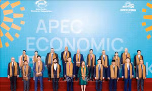 APEC kêu gọi tăng cường hợp tác đa phương, cải cách WTO