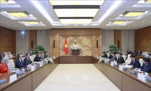 Chủ tịch Quốc hội Vương Đình Huệ tiếp Đoàn Nghị sĩ của Nghị viện châu Âu