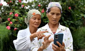 Trang bị 'lá chắn số' cho người dân nông thôn