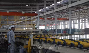 Cảnh báo rủi ro đối với xuất khẩu kính nổi sang thị trường Hoa Kỳ