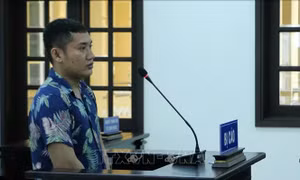 15 năm tù cho kẻ tâm thần giết cha
