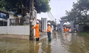 Điện lực Hà Nội nhanh chóng khôi phục điện cho các khu vực ngập úng