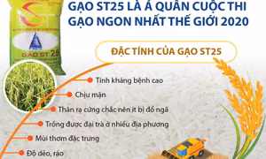 Gạo ST25 là Á quân cuộc thi Gạo ngon nhất thế giới 2020