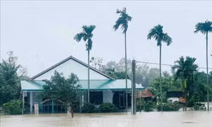 Nước sông Trà Câu dâng cao gây ngập nhiều nhà dân ở thị xã Đức Phổ