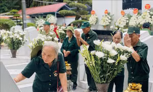 Tăng mức trợ cấp hằng tháng đối với thanh niên xung phong