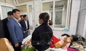 Chấn chỉnh, xử lý các hành vi bạo lực học đường