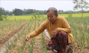 Người phụ nữ Khmer 'ăn cơm nhà lo chuyện thiên hạ'