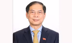 Bộ trưởng Bùi Thanh Sơn: Ngành Ngoại giao góp phần thực hiện khát vọng của dân tộc, tầm nhìn của Đảng