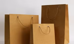 Hoa Kỳ nhận hồ sơ yêu cầu điều tra chống bán phá giá túi mua hàng bằng giấy từ Việt Nam