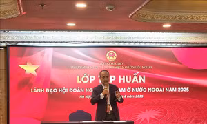 Trang bị kỹ năng cần thiết cho lãnh đạo Hội đoàn người Việt Nam ở nước ngoài 