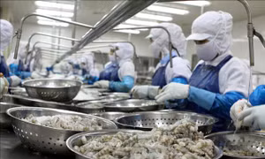 Năm 2021, Đà Nẵng tập trung hỗ trợ doanh nghiệp xúc tiến xuất khẩu