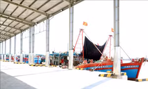Khắc phục 'thẻ vàng' IUU: Ninh Bình triển khai nhiều giải pháp trong tháng cao điểm