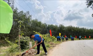 Đồng Nai: Huyện Xuân Lộc đạt chuẩn nông thôn mới nâng cao