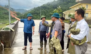 Bí thư Tỉnh ủy Bắc Kạn: Đánh giá nhân sự đại hội Đảng các cấp theo Quy định 144-QĐ/TW