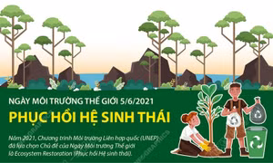Ngày Môi trường Thế giới 5/6/2021: Phục hồi hệ sinh thái