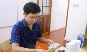 Phát triển sản phẩm thay thế đồ dùng nhựa từ nông sản