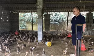 Nghị lực vươn lên của người đàn ông bị tai nạn mất 2 tay và 1 chân