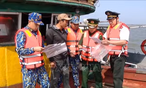 Ninh Bình hoàn tất đăng ký 100% tàu cá, siết chặt quản lý chống khai thác IUU