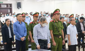Ngày 28/6, dự kiến xử phúc thẩm vụ án liên quan đến Trần Bắc Hà tại BIDV
