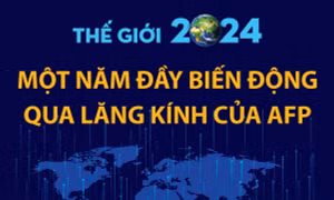 Năm 2024 đầy biến động qua lăng kính của AFP