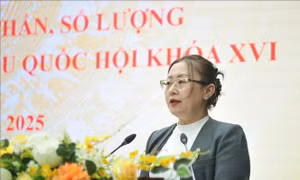 Hiệp thương lần thứ nhất giới thiệu đại biểu ứng cử tại tỉnh Lào Cai