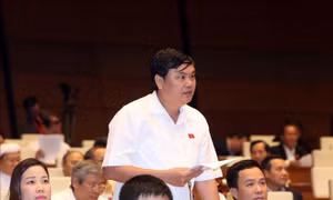 Lo ngại khi cho phạm nhân ra ngoài lao động