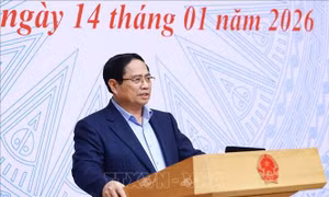 Giảm phát thải ròng bằng '0' vào năm 2050 là sứ mệnh chính trị của quốc gia
