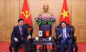 Hợp tác chia sẻ tri thức về mô hình phát triển, ứng dụng công nghệ AI trong phát triển đất nước