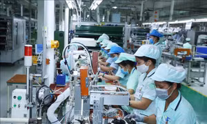 Đổi mới sáng tạo, yếu tố quan trọng thúc đẩy tăng trưởng kinh tế của Việt Nam