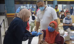 Indonesia rút kinh nghiệm từ tình hình dịch bệnh tại châu Âu