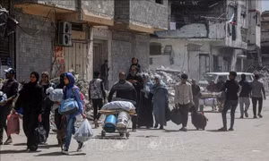 Ai Cập ca ngợi sự thay đổi lập trường toàn cầu hướng tới công nhận nhà nước Palestine