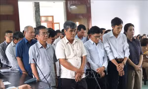 Phú Yên: Phạt tù 22 cựu cán bộ vi phạm các quy định về quản lý đất đai