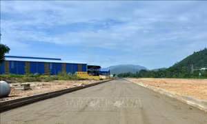Đà Nẵng đẩy mạnh tiến độ các dự án động lực, trọng điểm