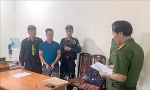 Bắt tạm giam Giám đốc doanh nghiệp khai thác trái phép rừng phòng hộ