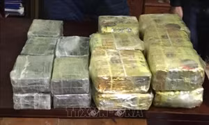 Bắt giữ hai đối tượng mua bán, vận chuyển 60 bánh heroin