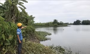 Hải Dương sạt lở nhiều tuyến kênh ở Tứ Kỳ tiềm ẩn nguy cơ mất an toàn