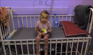 WHO cảnh báo suy dinh dưỡng trẻ em nghiêm trọng ở Dải Gaza