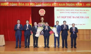 Phê chuẩn kết quả bầu, bãi nhiệm chức vụ Phó Chủ tịch UBND tỉnh Thanh Hóa