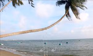 Tạo sức bật mới cho du lịch Bình Thuận - Bài cuối: Tăng cường kết nối, quảng bá