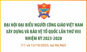 Đại hội đại biểu Người Công giáo Việt Nam xây dựng và bảo vệ Tổ quốc lần thứ VIII