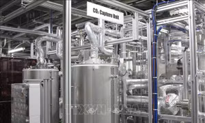 Doanh nghiệp Nhật Bản đẩy mạnh phát triển công nghệ mới thu giữ carbon
