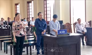 Tham ô hơn 653 triệu đồng, nhiều cựu cán bộ UBND xã ở Cần Thơ bị phạt tù