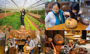 Trải nghiệm Halloween giữa rừng thu Lat Valley Retreat Village
