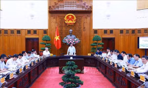 Chậm nhất ngày 20/10/2024 phải có Tờ trình gửi Quốc hội về Dự án đầu tư đường sắt tốc độ cao trên trục Bắc - Nam