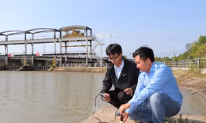 Nâng cấp hệ thống giám sát xâm nhập mặn thông minh hoàn toàn bằng công nghệ Việt Nam
