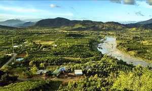 Tạo nền móng thúc đẩy vùng Tây Nguyên