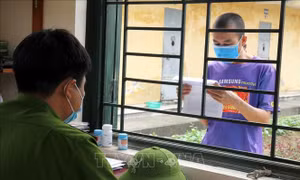 Bảo đảm quyền bầu cử cho các cử tri đang bị tạm giữ, tạm giam
