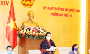 Nâng cao hiệu quả ký kết, thực hiện thỏa thuận quốc tế