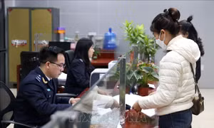 Kiểm toán Nhà nước chỉ ra nhiều bất cập trong thu, chi ngân sách của tỉnh Lào Cai