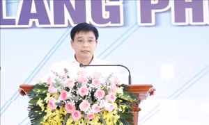 Kiện toàn chức danh Phó Chủ tịch Thường trực Ủy ban An toàn giao thông Quốc gia